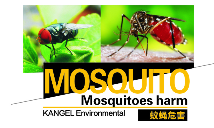Harm of mosquitoes and flies